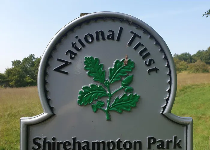 Homestay Large Ensuite Twin At Fir Tree Bristol